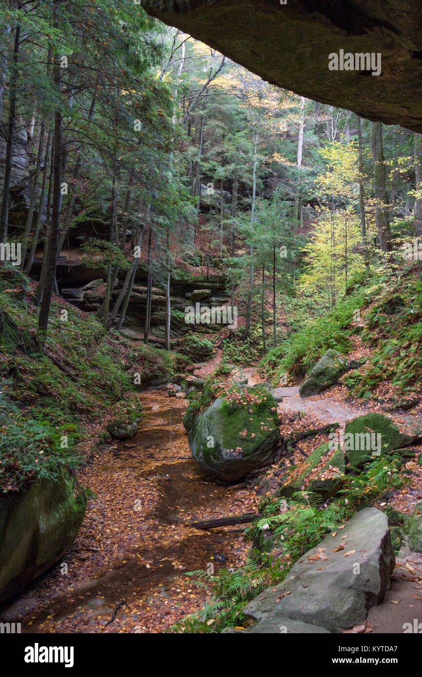 Stream in Conkle's Hollow State Nature Preserve Stockfoto