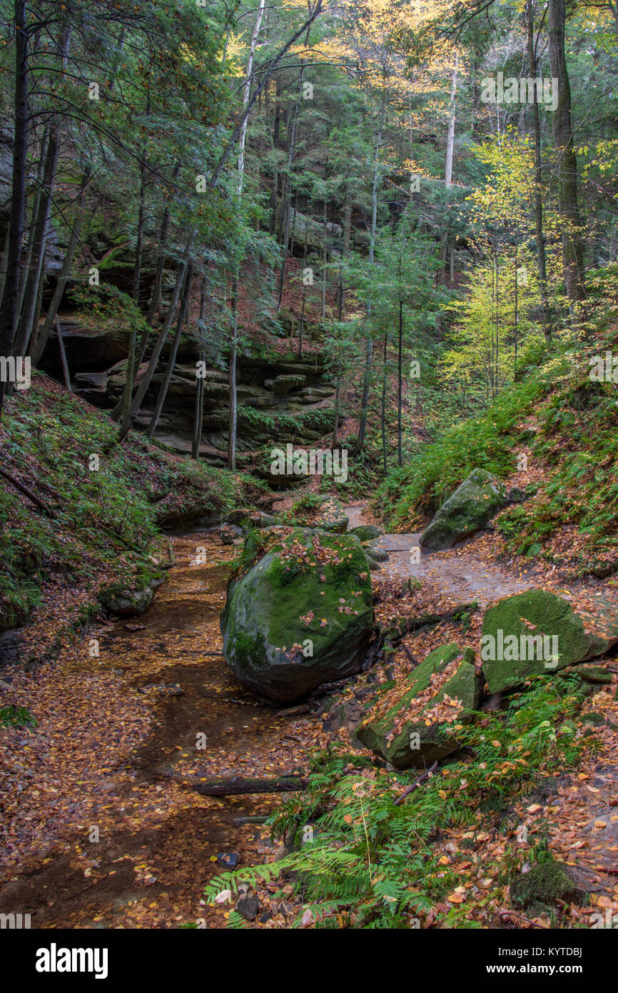 Stream in Conkle's Hollow State Nature Preserve Stockfoto