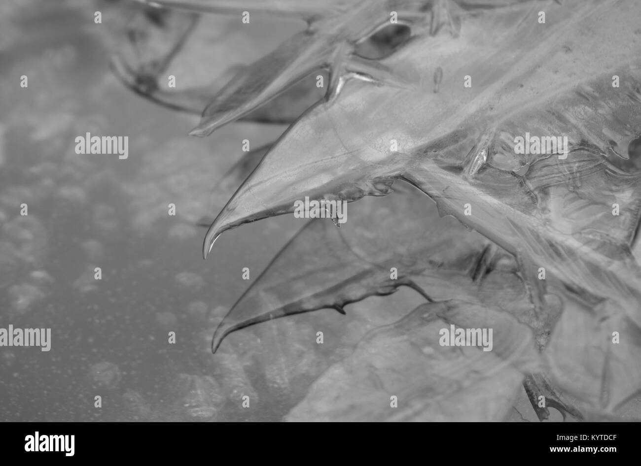 Ice Crystal Blätter Close-ups und Reflexionen auf Wasser Stockfoto
