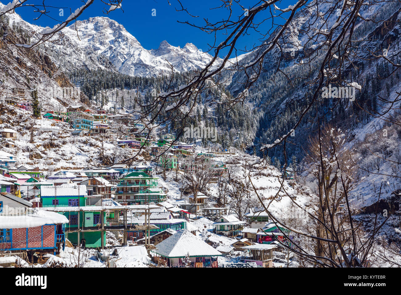 Tosh Dorf in Himachal Pradesh, Indien völlig bedeckt im Schnee nach einem massiven Schneefall im Februar kalte Winter. Ruhige Dorfleben in Ruhe Stockfoto