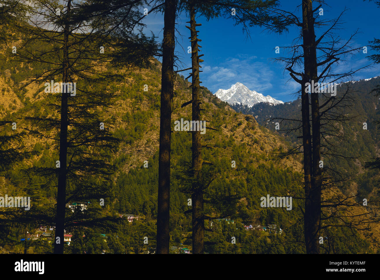 Triund Höhepunkt im Dhauladhar reicht von Dharamkot, Mcleod Ganj, Dharamsala, Himachal Pradesh, Indien gesehen. Blauer Himmel, grüne Berge und schneebedeckten Stockfoto