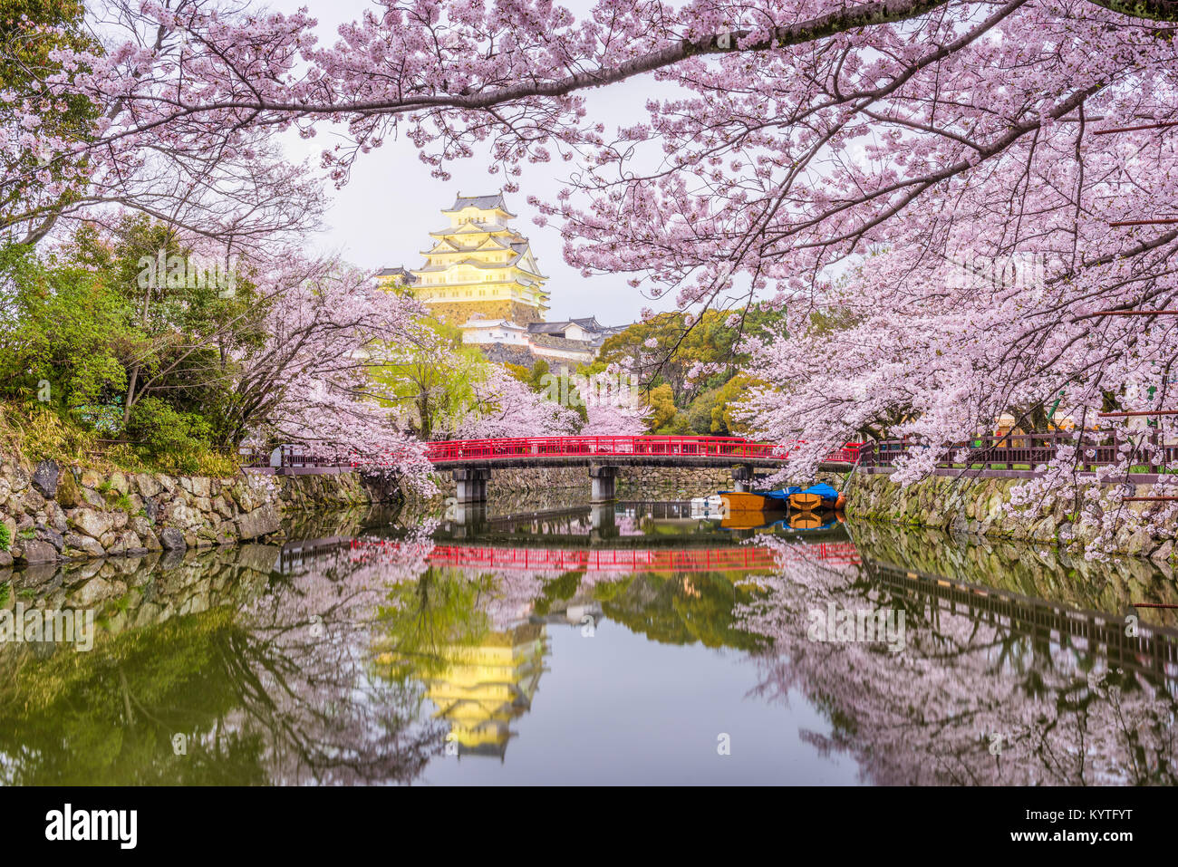 Himeji, Japan auf Burg Himeji in der Frühjahrssaison. Stockfoto