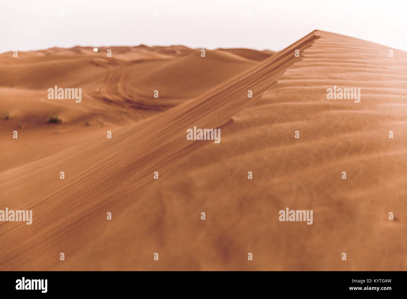 Dune Bashing in Dubai Wüste auf Oman Road. Natürliche Texturen, abstraktes Muster, Wind. Planet Erde, Mutter Natur. Feiner Sand. Stockfoto
