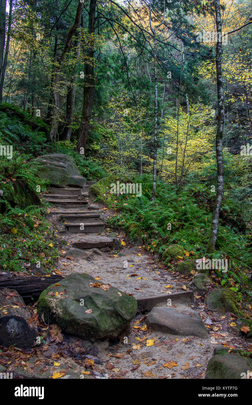 Treppe in Conkle's Hollow State Natur bewahren. Stockfoto