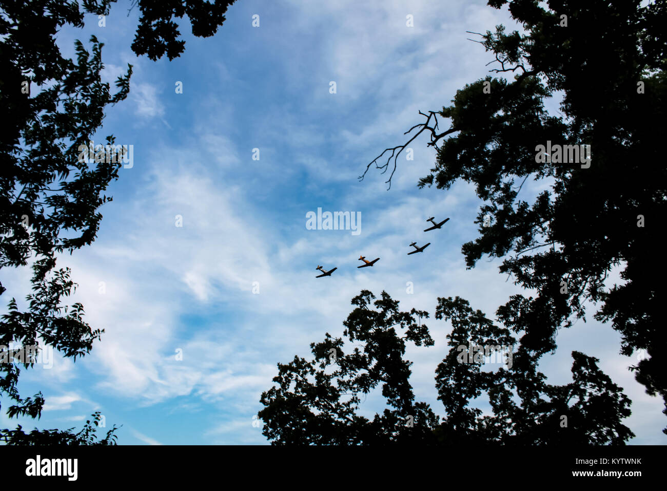 Air Show - 4 Flugzeuge, die in Formation gegen whispy Wolken im blauen Himmel von Zweigen gerahmt Stockfoto
