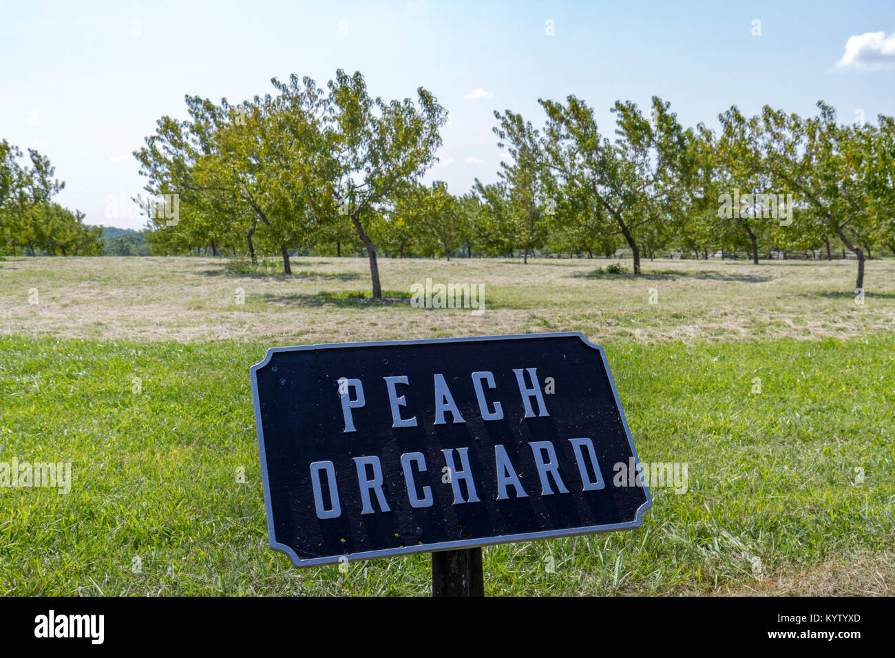 Das Peach Orchard, Gettysburg National Military Park, Pennsylvania, United States. Stockfoto