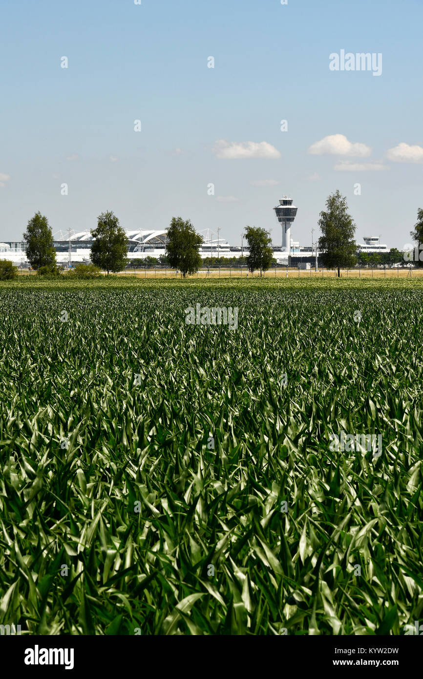 Feld, Flughafen, Sat-Gebäude, Gras, Unkraut, Flughafen München, Satelliten, Terminal, Terminal 1, Tower, Flughafen München, Erding, Freising, München Stockfoto