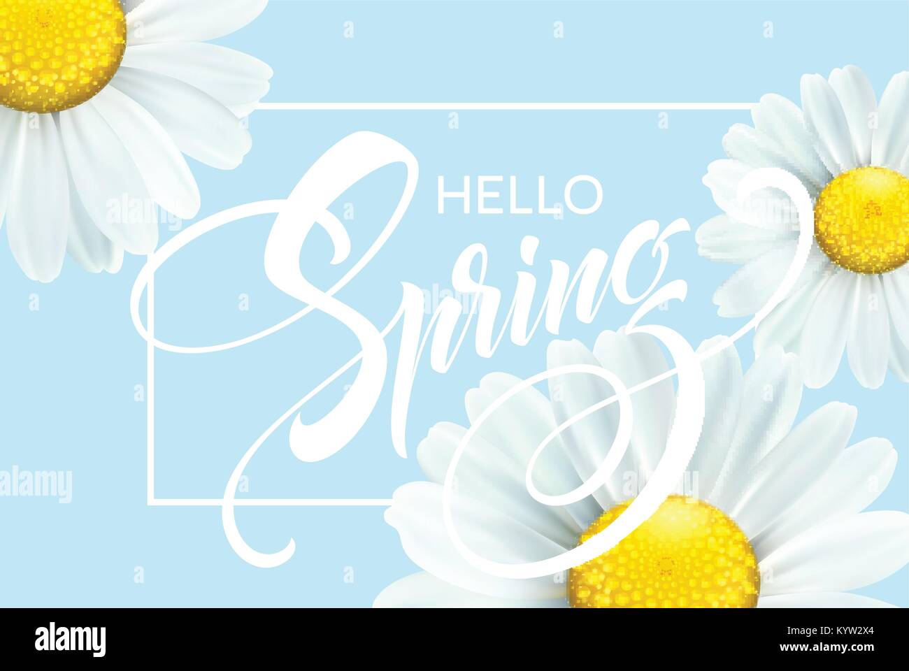 Kalligraphische Inschrift Hallo Frühling mit Frühling Blumen-blühenden weißen Daisy. Vector Illustration Stock Vektor