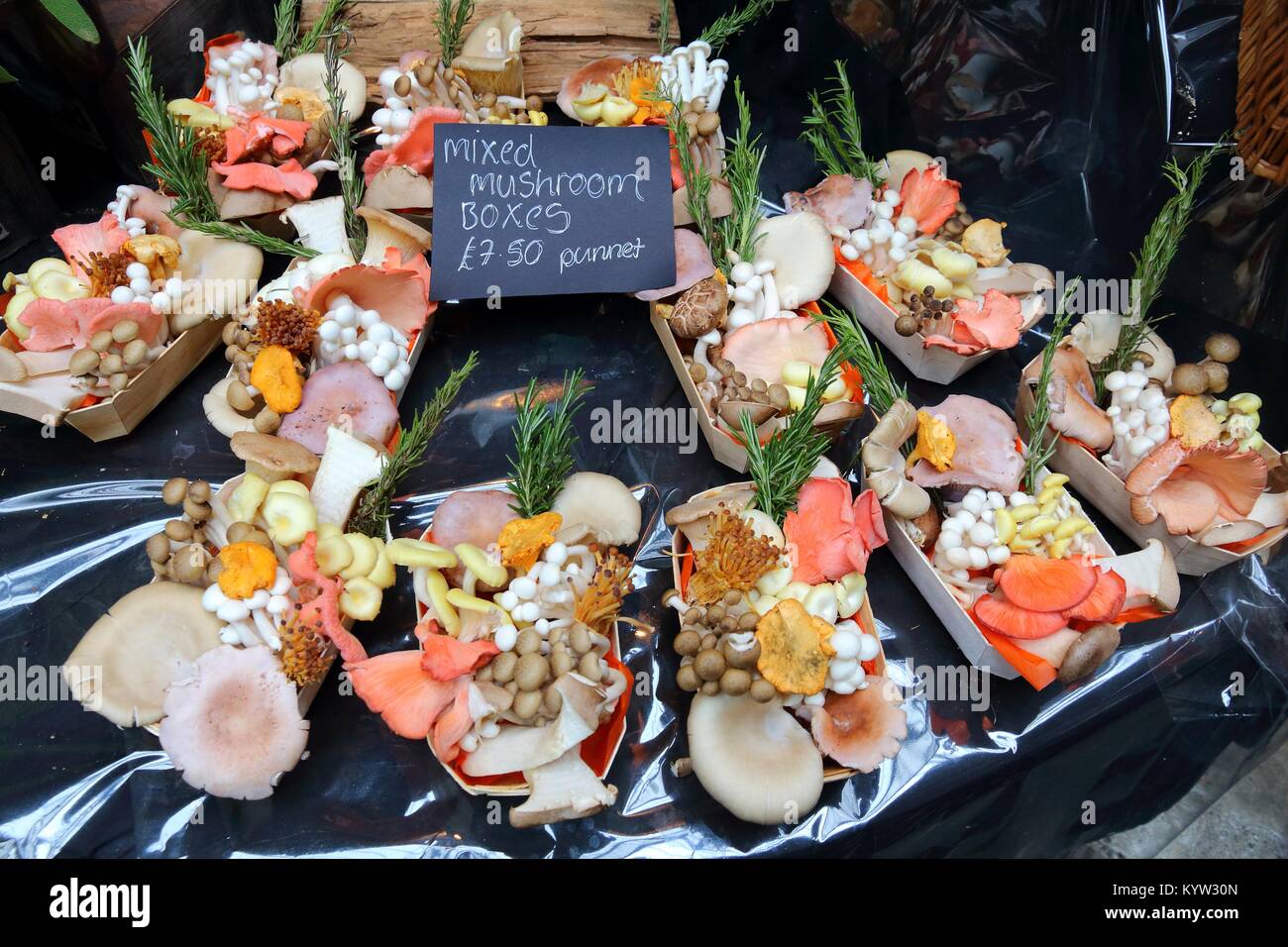 Die Pilze aus London Borough Markt, Großbritannien. Stockfoto