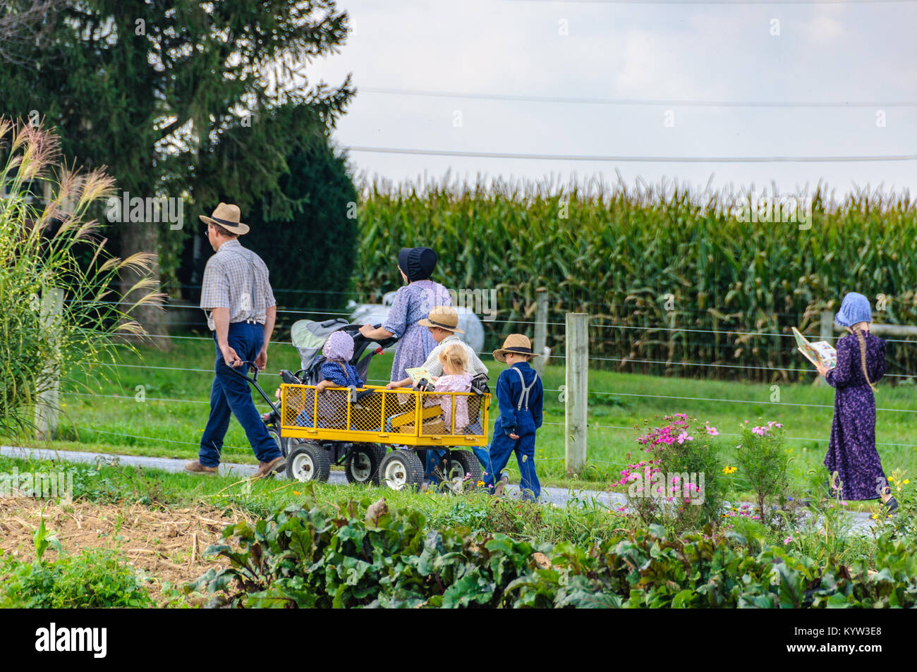 Familie mit vielen Kindern in Amish Country in Pennsylvania, USA Stockfoto