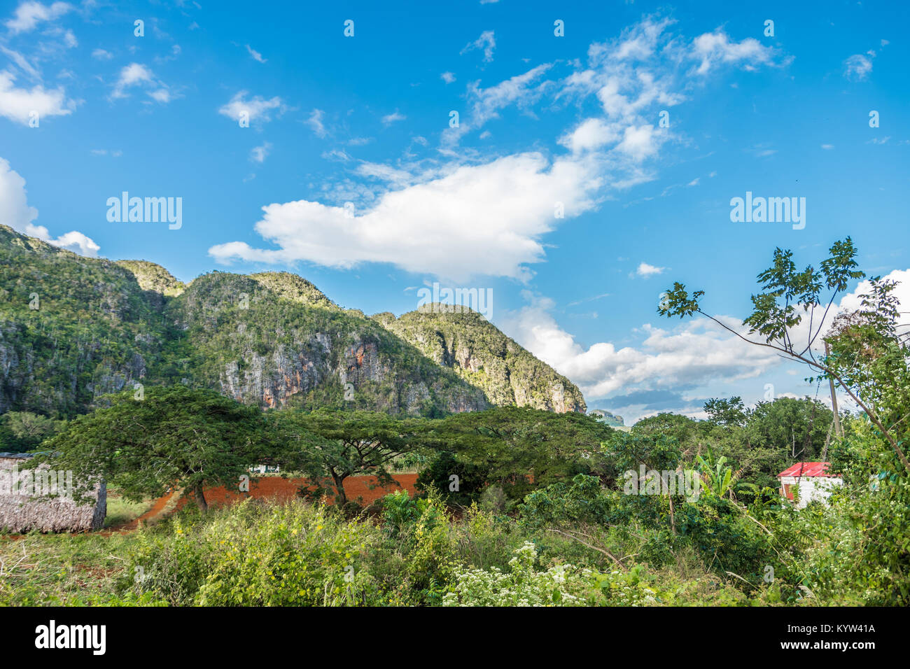 Vi ales Valley View in Kuba. Unreal Natur mit Seen, Berge, Bäume, Natur - Stockfoto