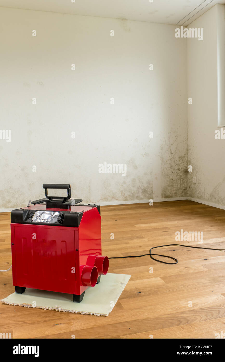 Red Luftentfeuchter in eine leere Wohnung Zimmer mit ekelhaften schwarzen  Schimmel und giftige Form auf die weißen Wände Stockfotografie - Alamy