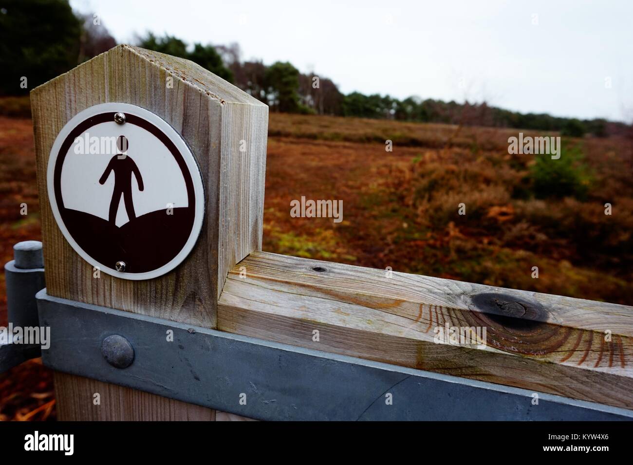 Ein 'Open Access'-Schild an der Grenze von 'Access', wo die Öffentlichkeit das Recht zu durchstreifen. Stockfoto