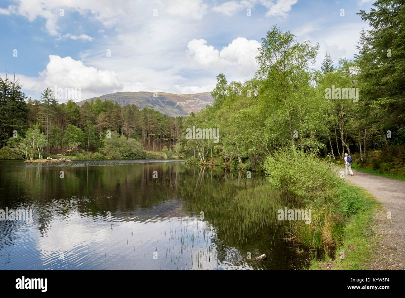 Glencoe Lochan mit lakeside Fußweg durch den Wald im Sommer. Glencoe, Highland, Schottland, Großbritannien, Großbritannien. Stockfoto