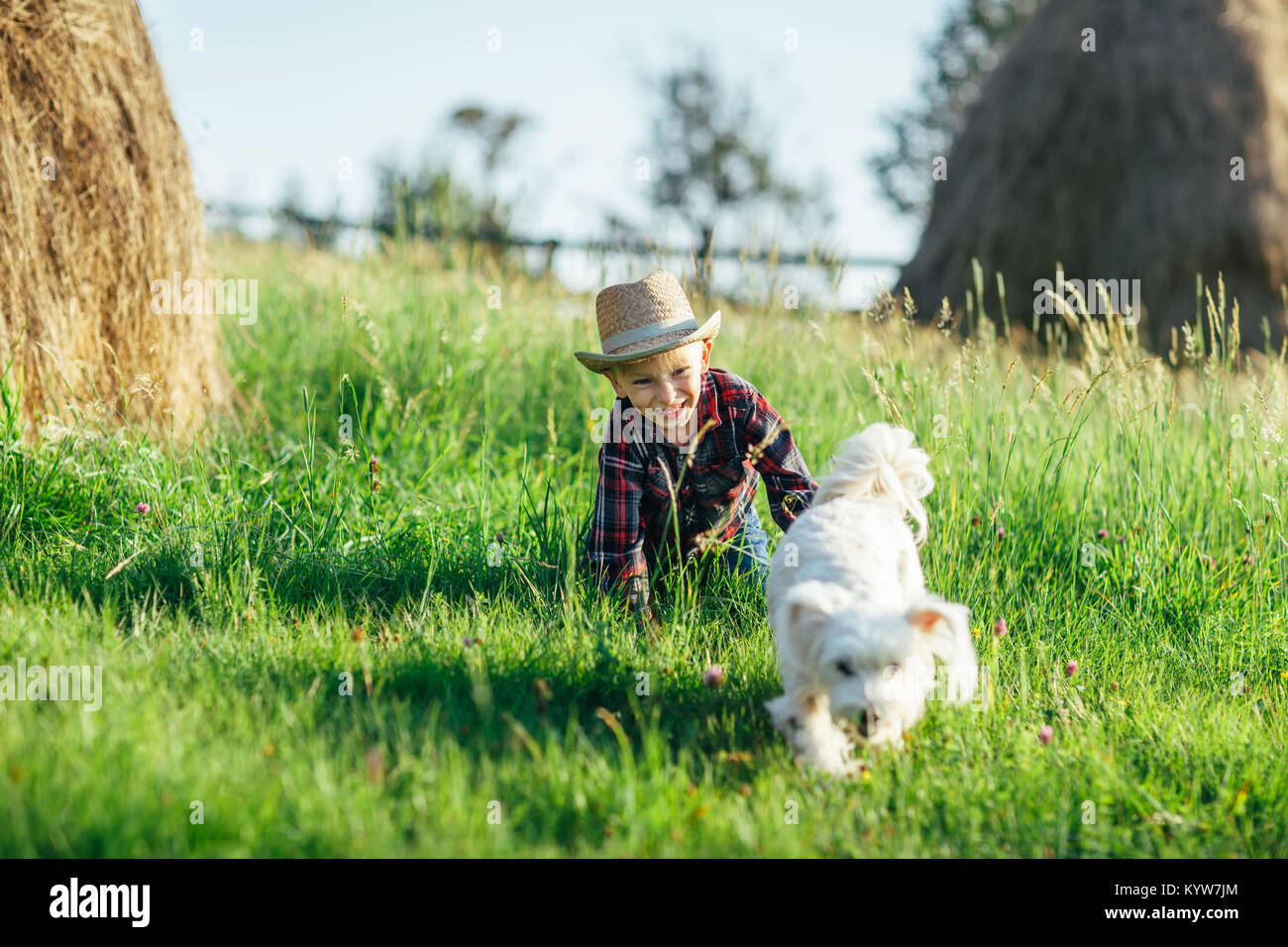 Weißer Hund läuft weg von Baby auf der grünen Wiese, Nahaufnahme. Tier und das Kind sind in frischer Luft in der malerischen Landschaft. Starke, Treu, Zuverlässig Stockfoto