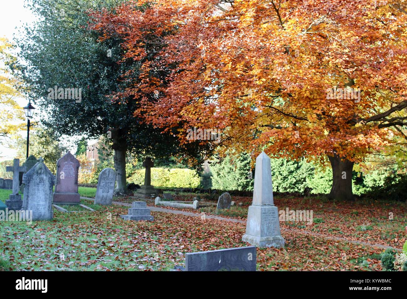 Die herbstlichen Bäume in Kirche Friedhof Stockfoto