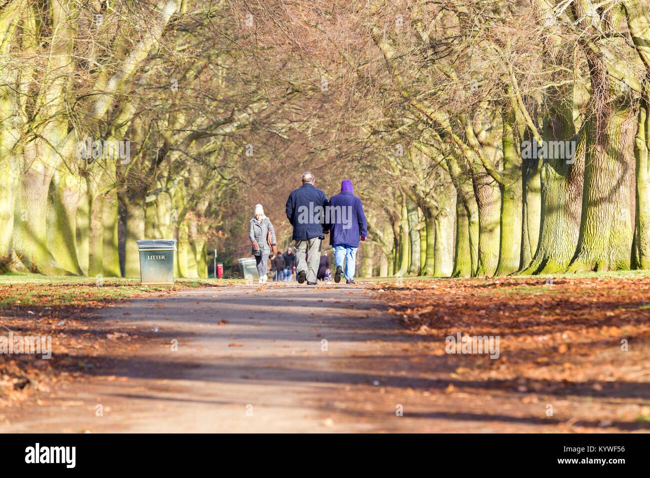 Northampton. Wetter in Großbritannien, Abington Park. 16. Januar 2018. Ein älteres Paar genießen Sie einen Spaziergang entlang der Allee der Bäume im Sonnenschein am Nachmittag. Credit: Keith J Smith./Alamy leben Nachrichten Stockfoto