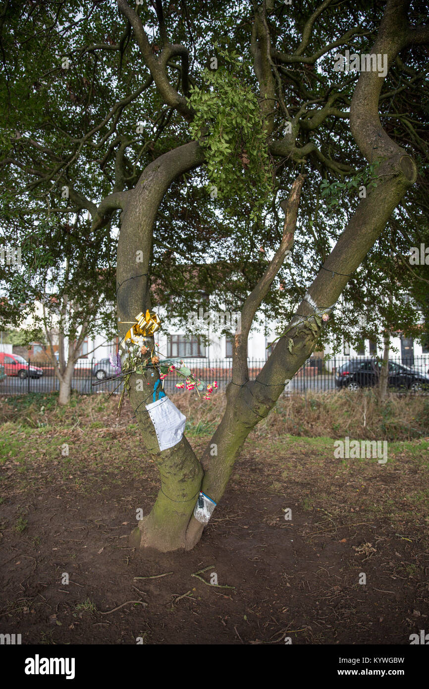 Cardiff, Wales, UK. 16 Jan, 2018. Speichern roath Bäumen ist eine Petition zu stoppen Baum der in der roath Bereich abgeschnitten zu werden, um seinen Charakter zu halten und die ökologischen Schäden zu minimieren und die Lebensräume unserer heimischen Tierwelt zu schützen. Credit: Sian Reekie/Alamy leben Nachrichten Stockfoto