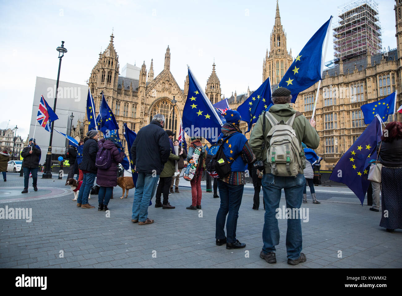 London, Großbritannien. 16 Jan, 2018. Anti-Brexit Demonstranten von Sodem wave Europäische Union Flaggen und Union Jacks während einem Tag der Tätigkeit außerhalb des Parlaments. Credit: Mark Kerrison/Alamy leben Nachrichten Stockfoto