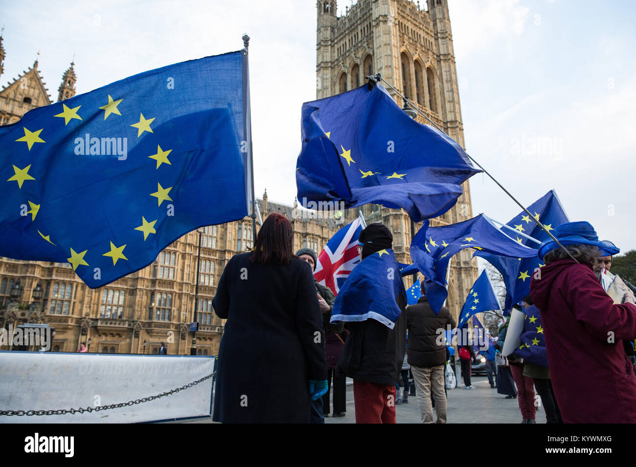 London, Großbritannien. 16 Jan, 2018. Anti-Brexit Demonstranten von Sodem wave Europäische Union Flaggen und Union Jacks während einem Tag der Tätigkeit außerhalb des Parlaments. Credit: Mark Kerrison/Alamy leben Nachrichten Stockfoto