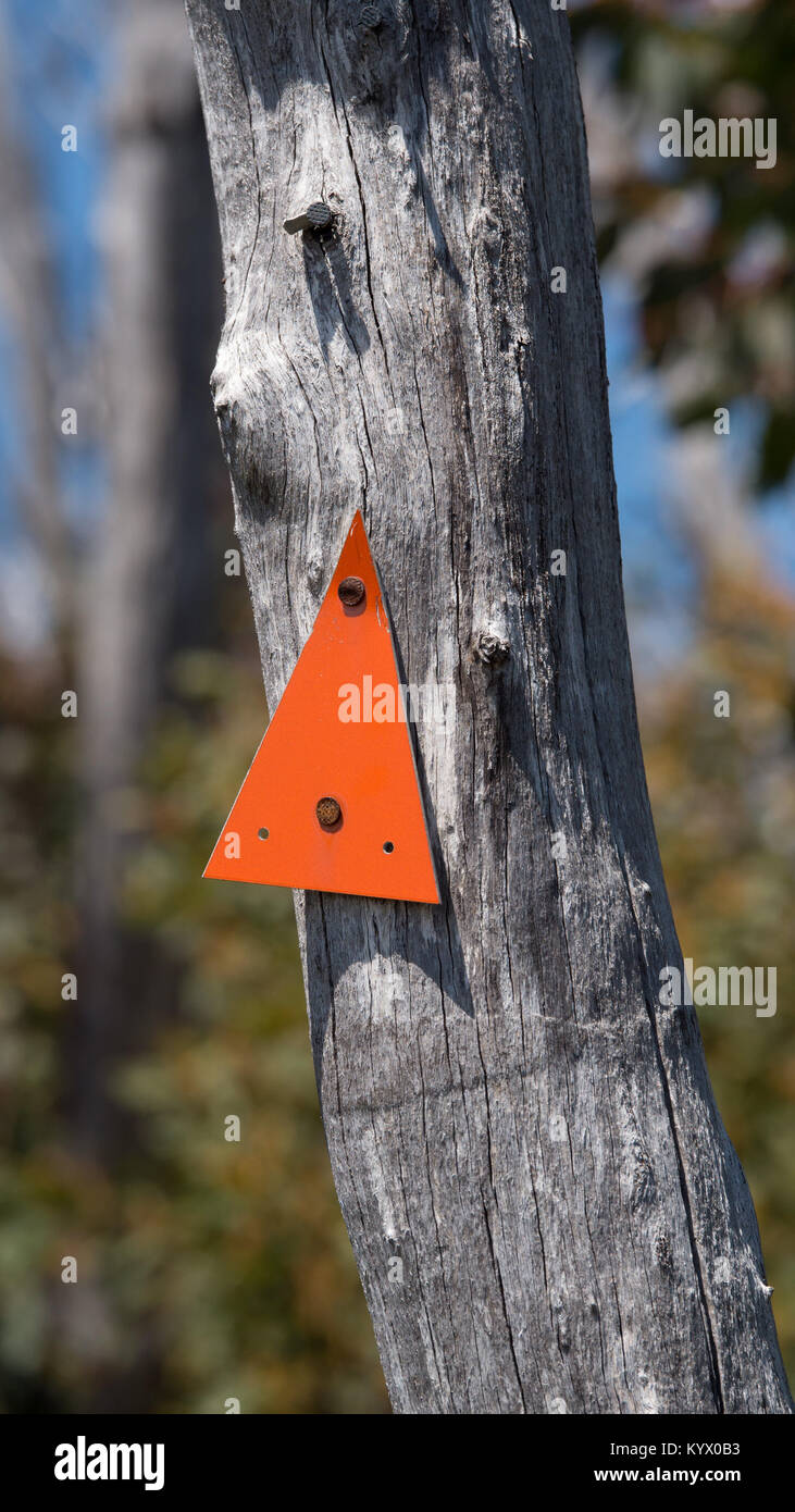 Helles orange dreieckige Wegweiser nach oben genagelt zu toten Baumstamm mit verschwommenen blauen Himmel und grüne Vegetation im Hintergrund. Stockfoto