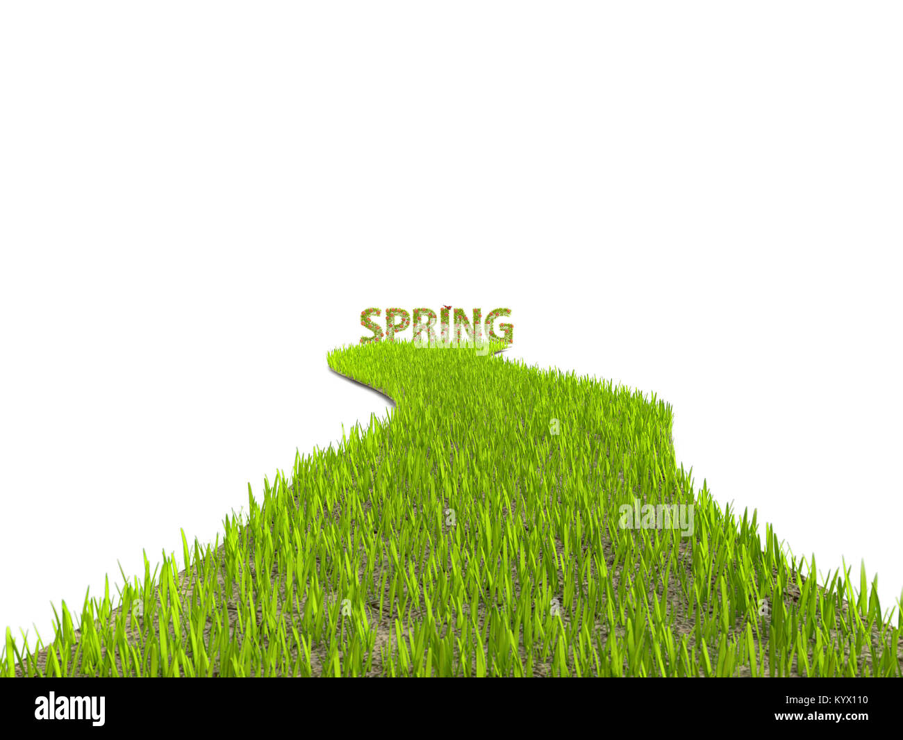 3D-Rendering von frischem grünem Gras Weg zum Frühling Wort auf weißem Hintergrund Stockfoto