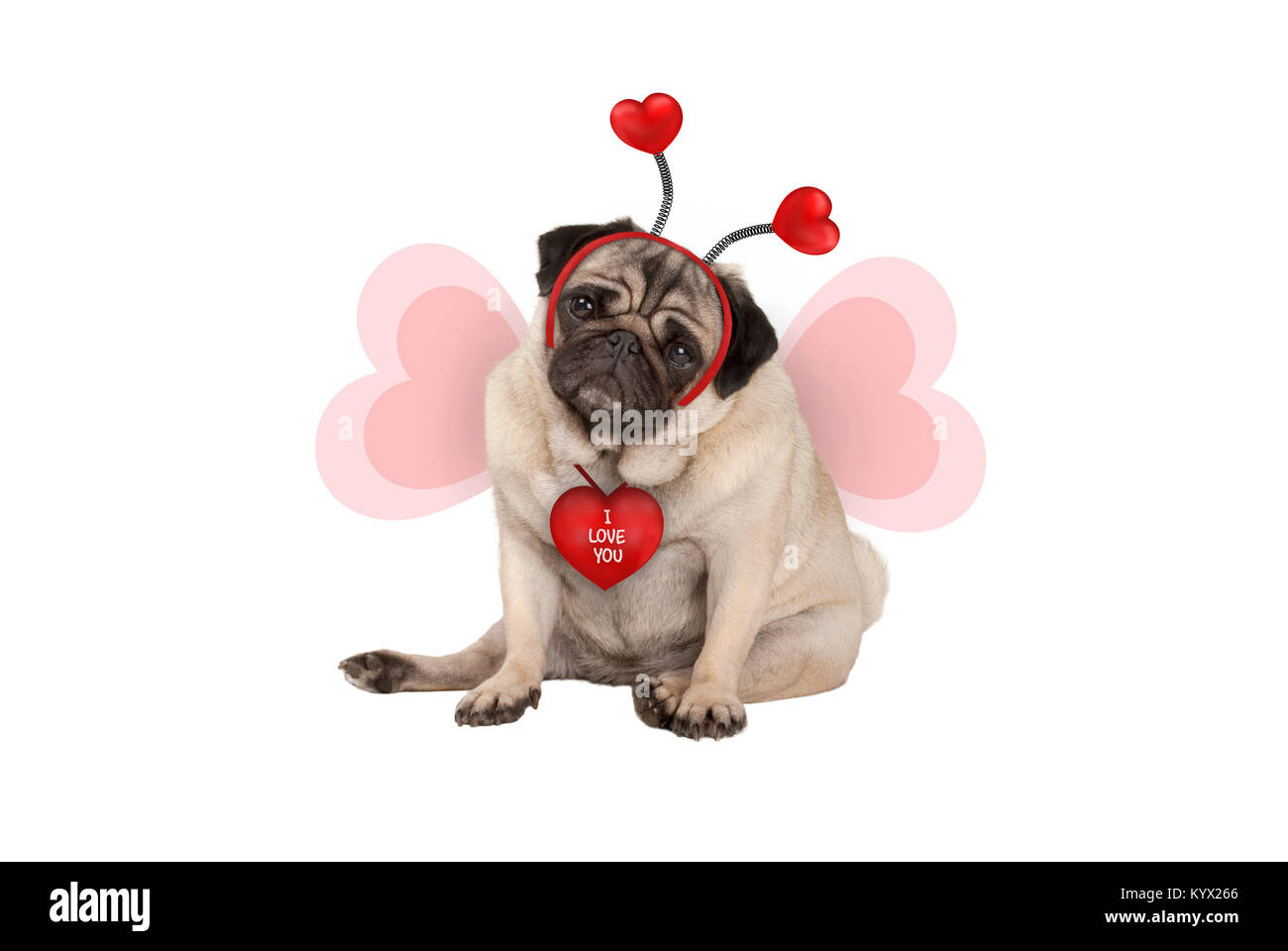 Niedlich Valentine's Tag mops Welpe Hund, hinsetzen, das Tragen von Herzen Diadem und herzförmige Flügel, auf weißem Hintergrund Stockfoto