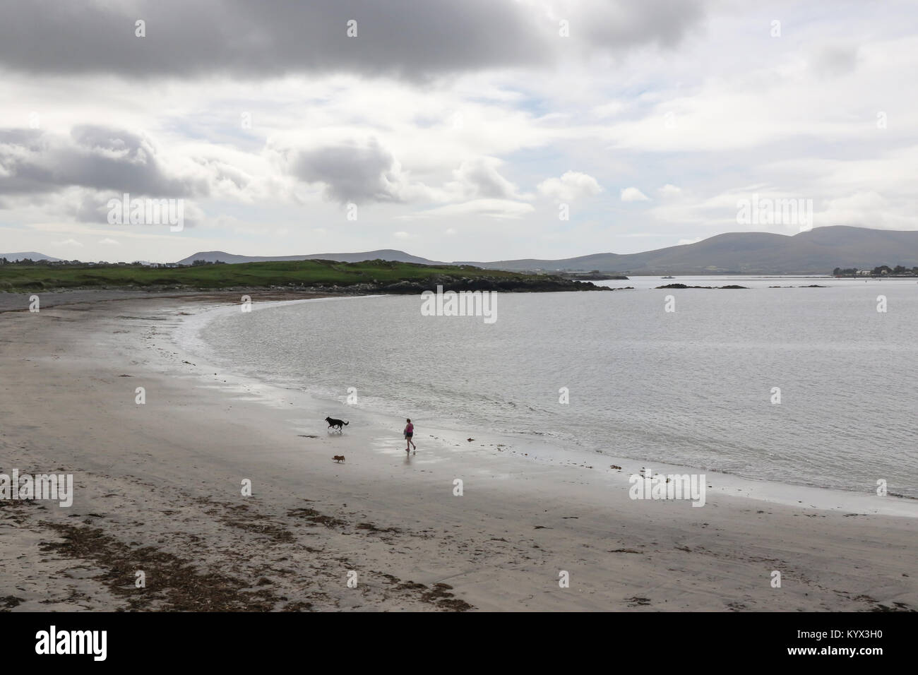 Weißen Strand Strand, County Kerry. Ein Strand mit Blauer Flagge in der Nähe von cahirsiveen im County Kerry. Stockfoto