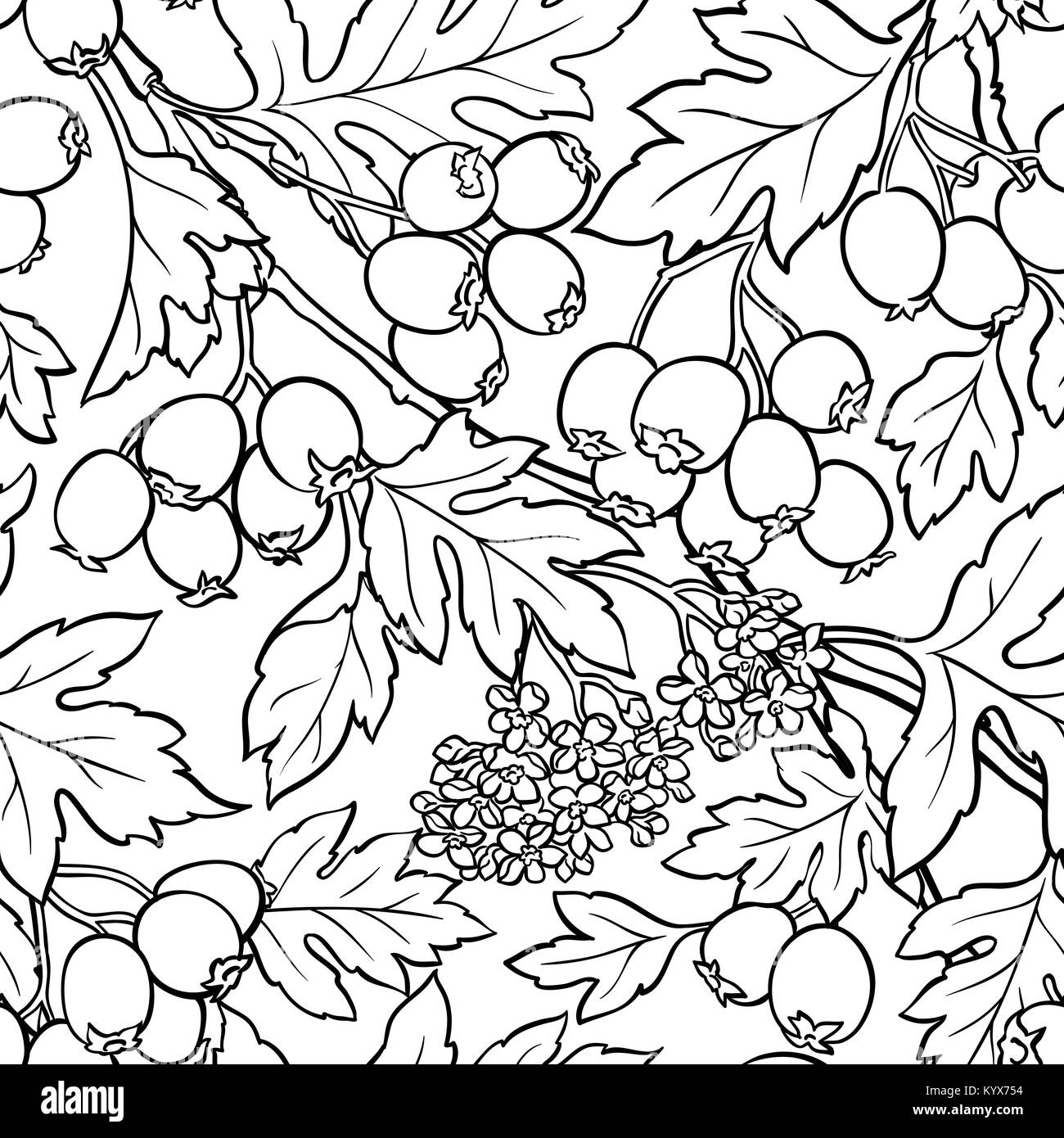 Weißdorn Zweige nahtlose Muster auf weißem Hintergrund Stock Vektor