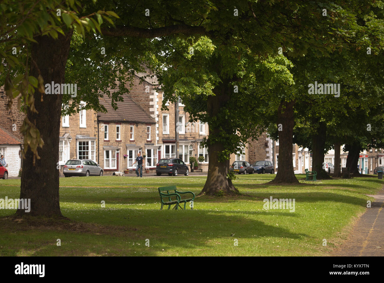 Walkin der Hund, Staindrop, County Durham Stockfoto