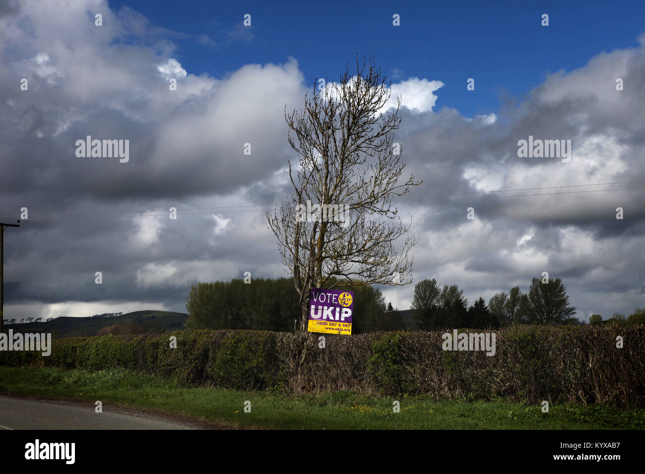 Abstimmung der UKIP Plakat in Shropshire, England, Großbritannien - 2015 Stockfoto