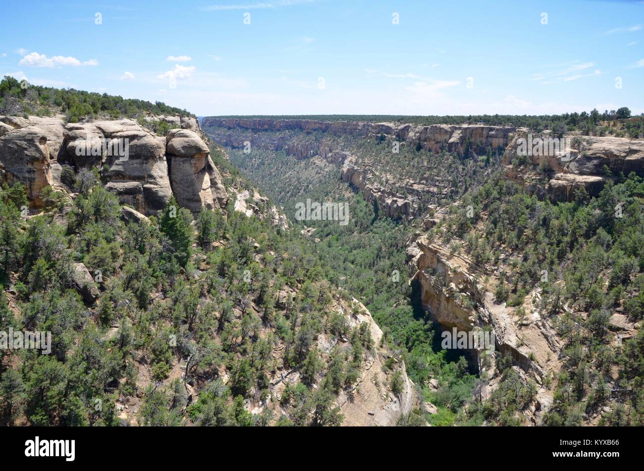 Touristen am Cliff dwellings Mesa Verde National Park Colorado USA Stockfoto