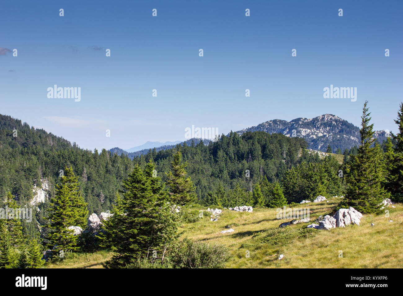 Zavizan Berge und Kiefernwald - Nord Velebit Nationalpark, Kroatien - 23 Aug 2016 Stockfoto