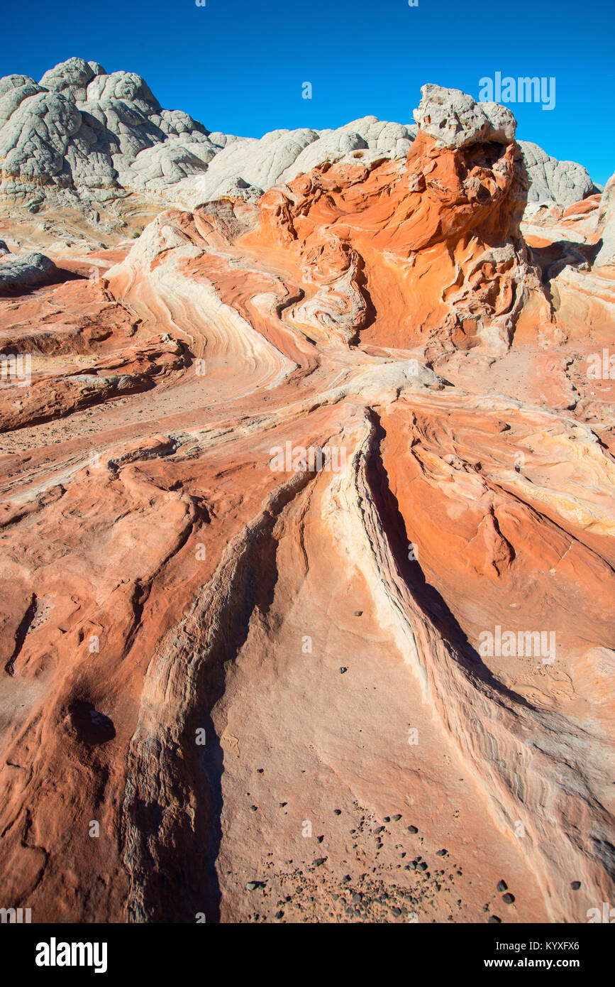 Lizard Rock Stockfoto