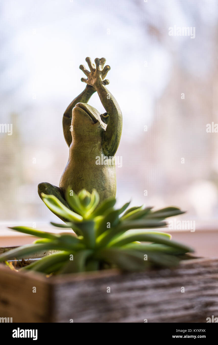Yoga Frosch in die Baumhaltung. Figur Statue mit saftigen Haus im sonnigen Fenster. niedlich Grün kleine Objekt mit den Händen in der Luft lächelnd. Soft Focus. Stockfoto