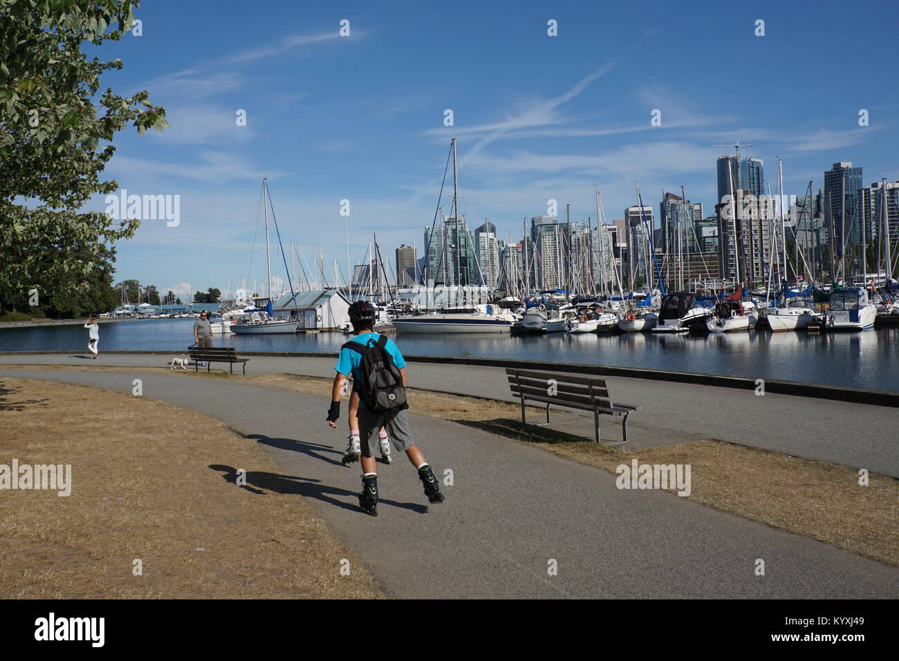 Mit Dem Bus Von Vancouver Airport Zum Stanely Park www.alamy.de