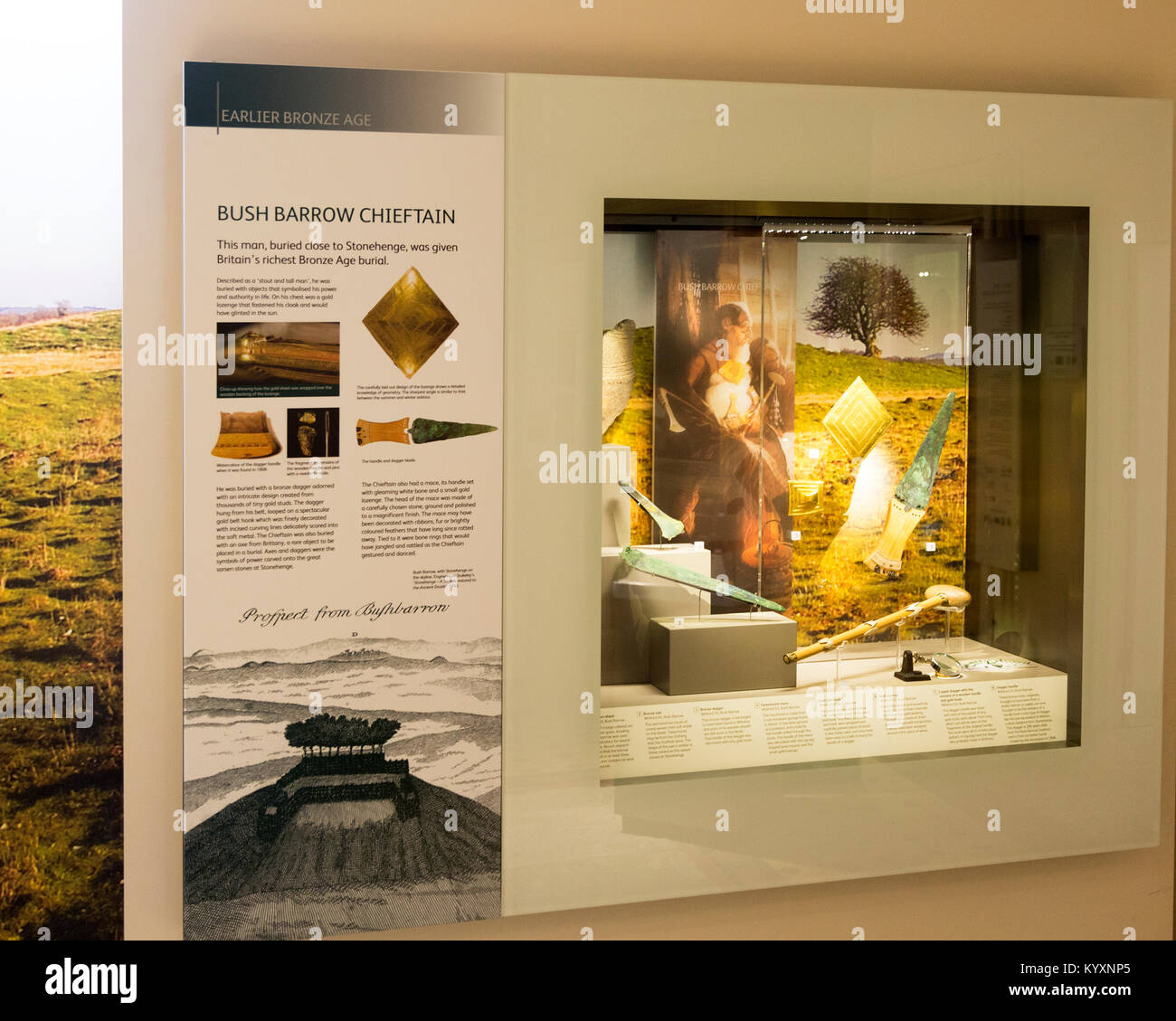 Anzeige der Objekte ausgegraben Von der Beerdigung der Bush Barrow Häuptling. Mit der Erlaubnis von Wiltshire Museum, Devizes, England, Großbritannien Stockfoto