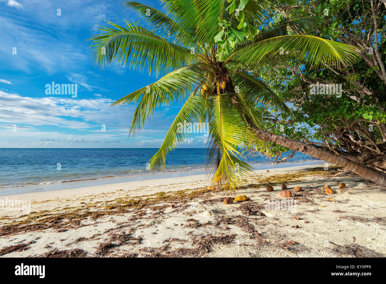 Exotischen tropischen Strand. Sommerurlaub und Urlaub Konzept Hintergrund. Stockfoto Exotischen tropischen Strand. Sommerurlaub und Urlaub Konzept Hintergrund. Stockfoto