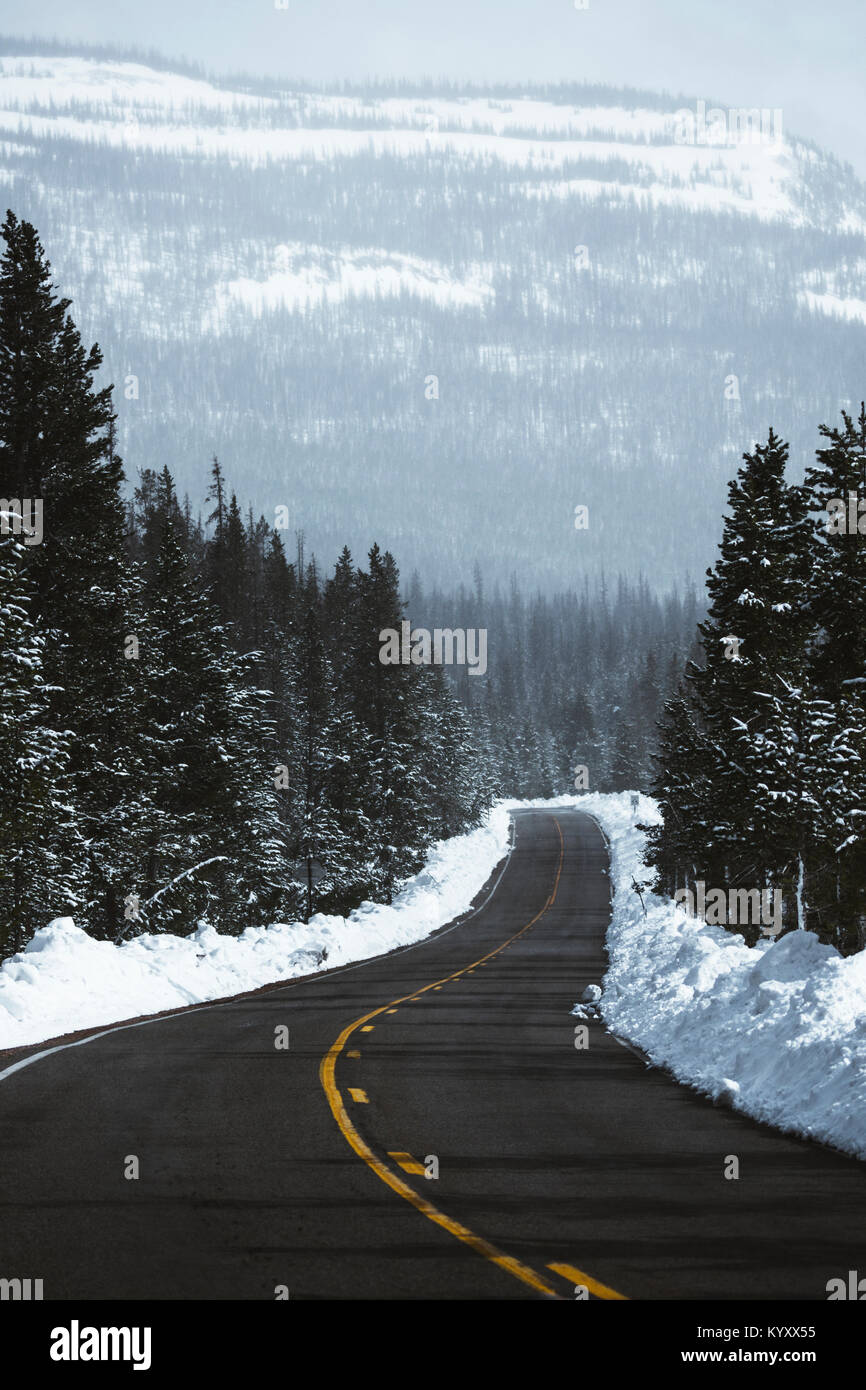 Leere Landstraße inmitten von Schnee bedeckt Bäume gegen Berge Stockfoto
