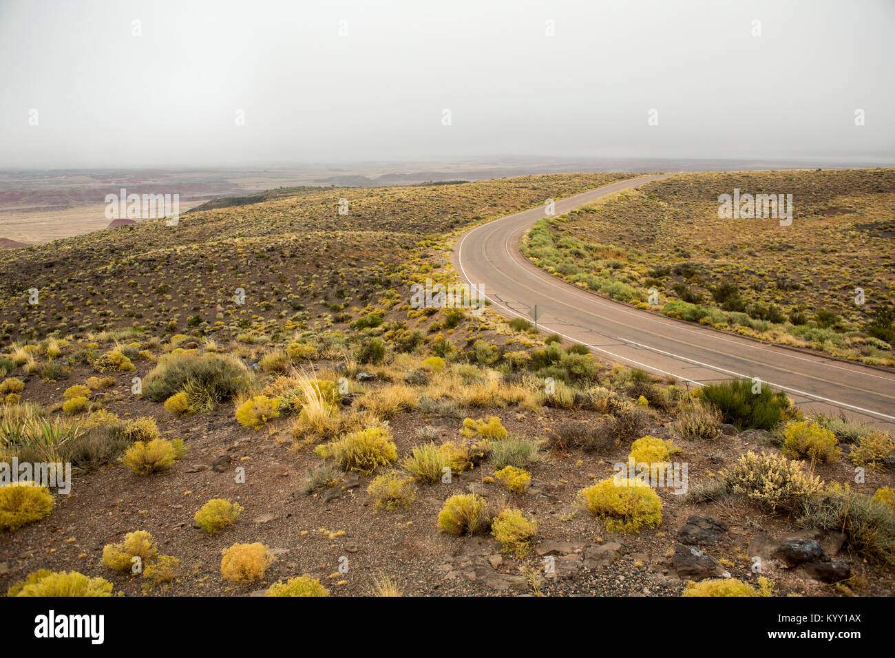 Land straße durch Feld gegen Himmel im Grand Canyon National Park Stockfoto
