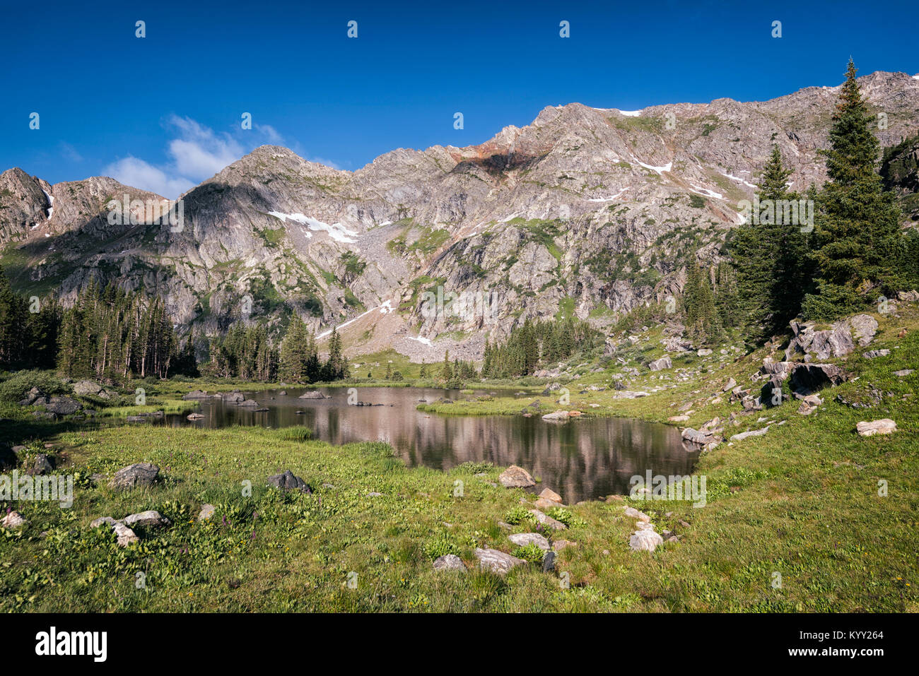 Malerischer Blick auf den See inmitten von Feld in White River National Forest gegen Sky Stockfoto