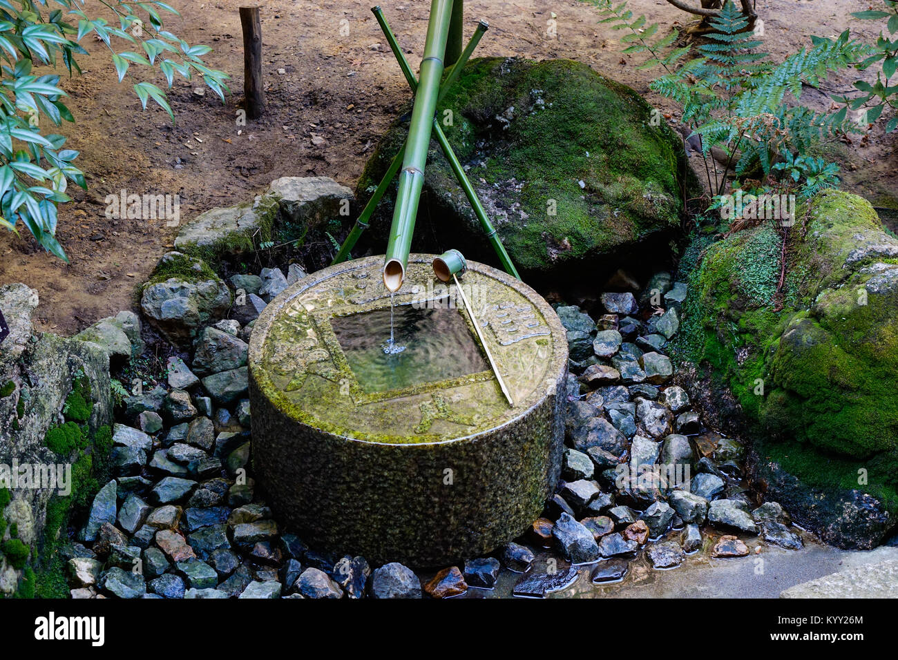Ein tsukubai (Waschbecken) an einem Tempel in Kyoto, Japan. Das Becken für die rituelle Waschung der Hände und Mund. Stockfoto