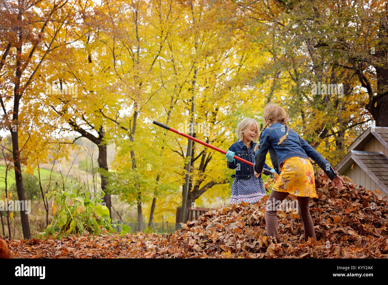 Schwestern Sammeln von Laub im Hof im Herbst Stockfoto