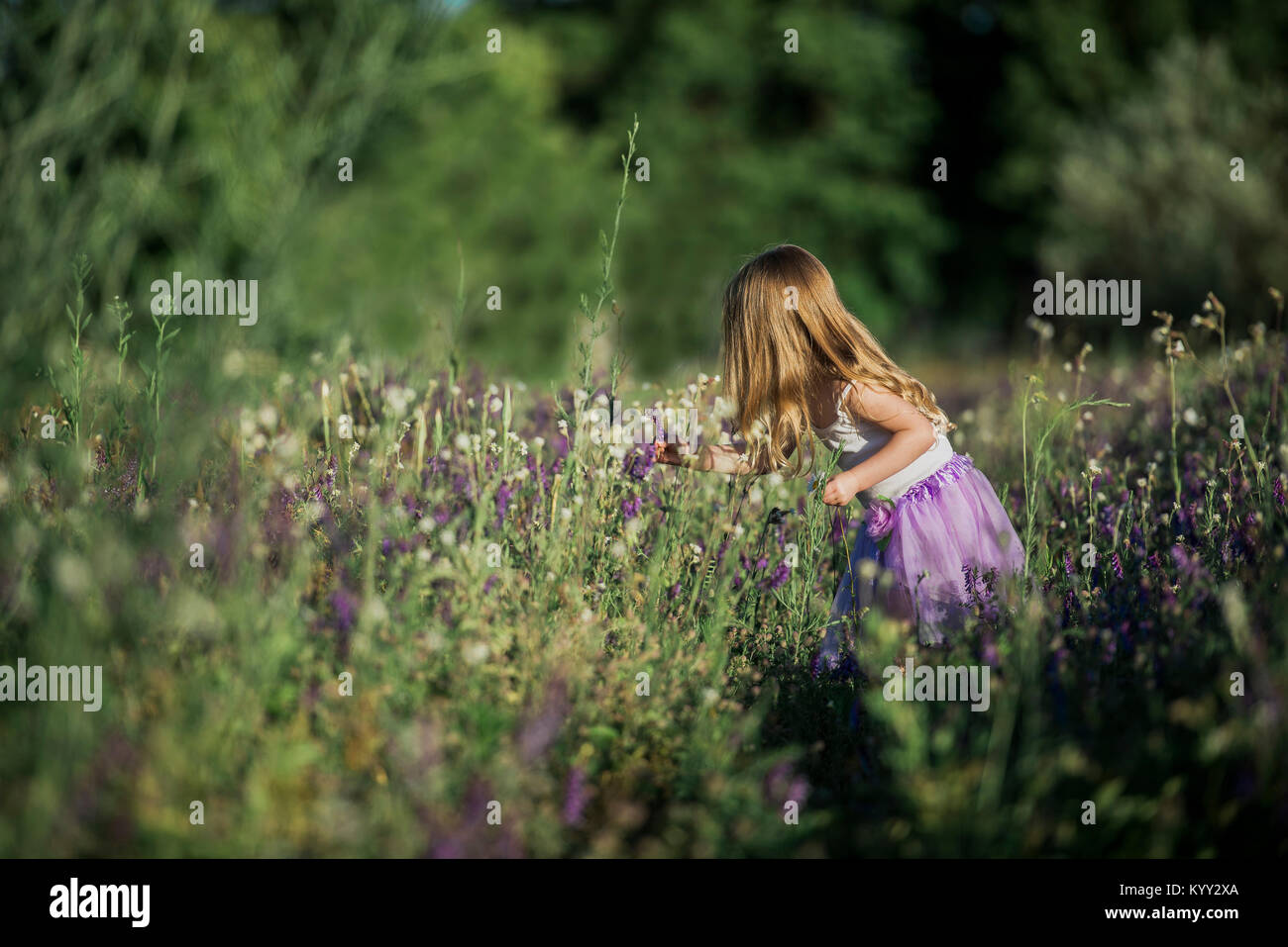 Seitliche Sicht auf Mädchen Blumen pflücken auf Feld Stockfoto