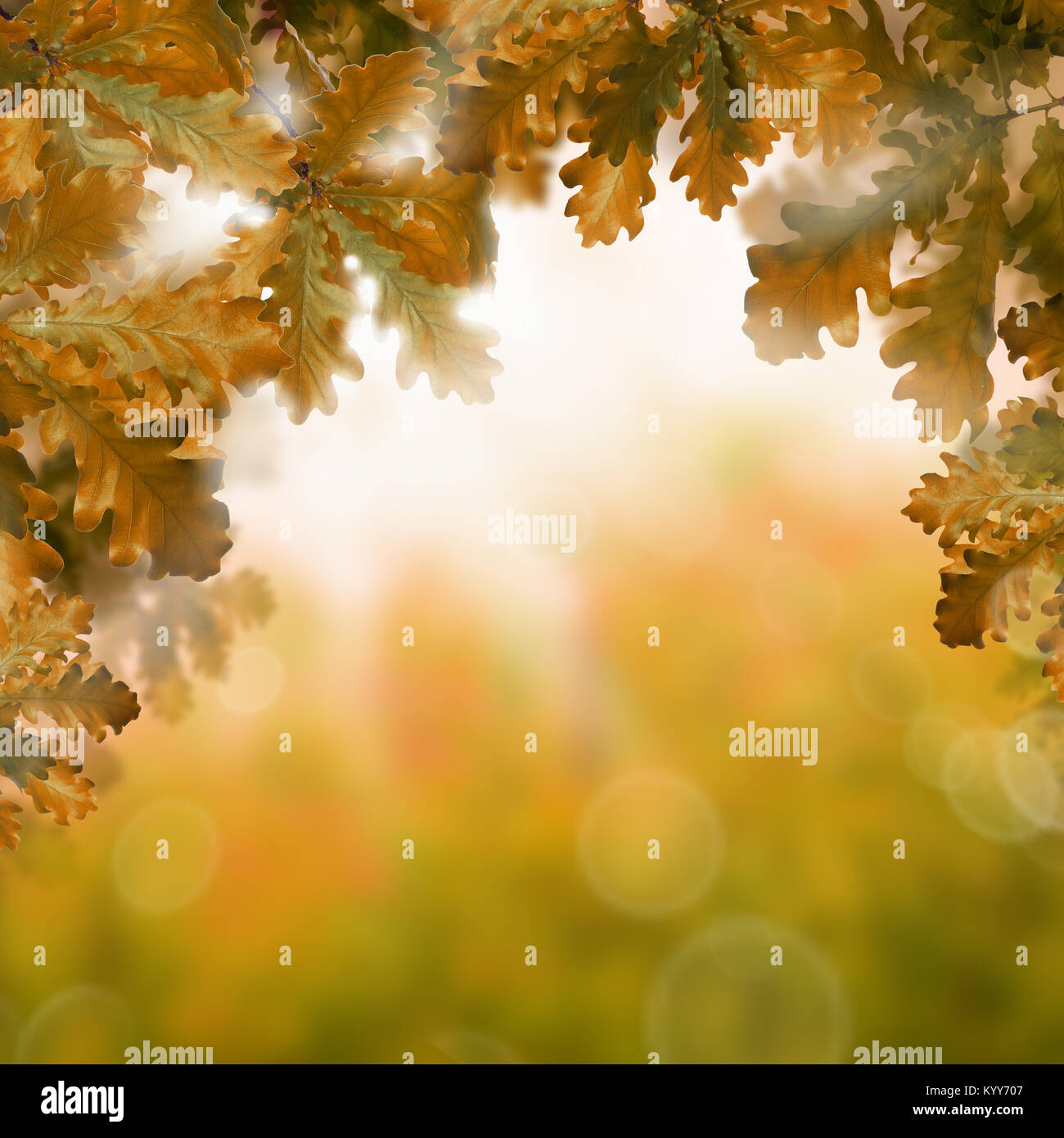 Herbst Hintergrund mit Herbst Eichenlaub und abstrakte Bokeh Glitter Stockfoto