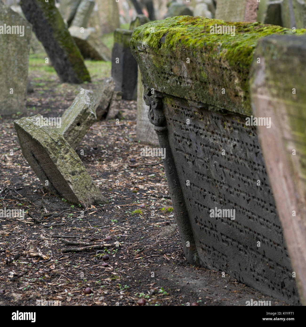 Moos bedeckt Grabstein in Alter Jüdischer Friedhof, Prag, Tschechische Republik Stockfoto