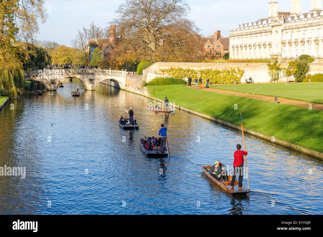 Punting im Herbst auf dem Fluss Cam mit Clare College auf der rechten Seite, Cambridge Cambridgeshire England Großbritannien Stockfoto