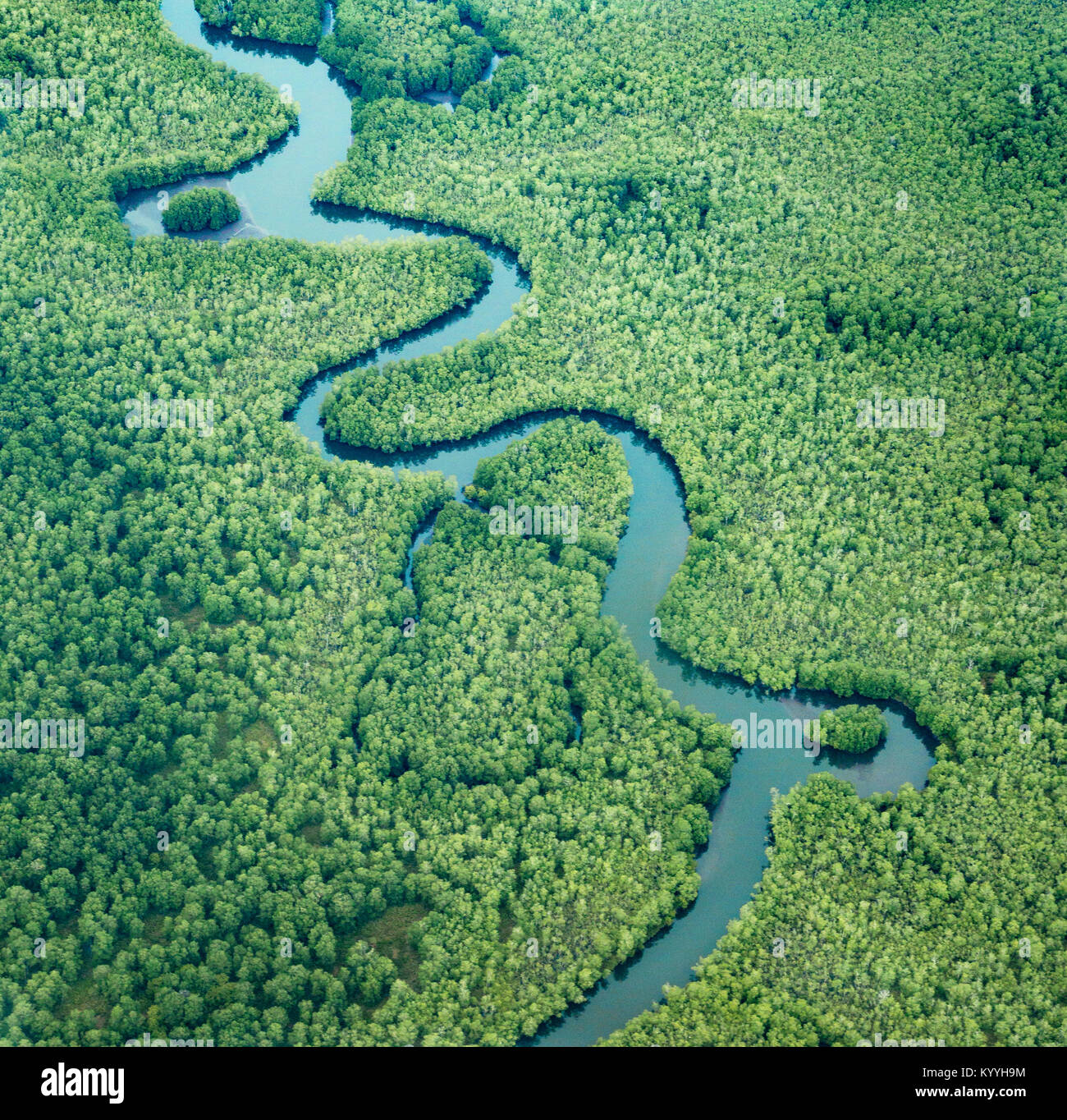 Luftaufnahme von Mäandern und Fluss capture Funktionen in den Mangrovenwald am Delta des Sierpe Fluss an terraba Sierpe nationalen Feuchtgebiet Costa Rica Stockfoto