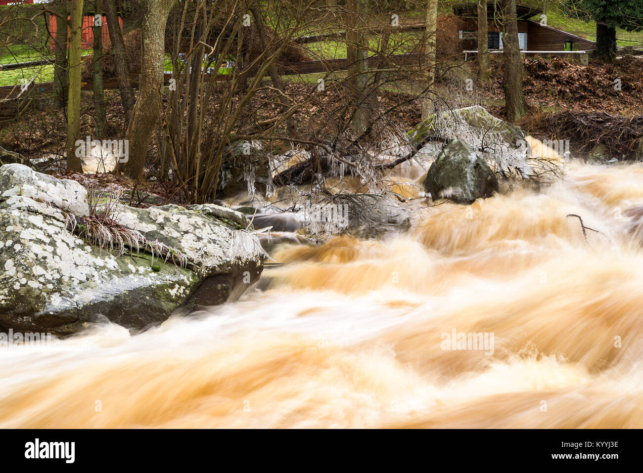 Wütend Frühling Flut hetzen, vorbei an einigen Felsen. Eiszapfen bilden auf Ästen in der Kälte. Stockfoto