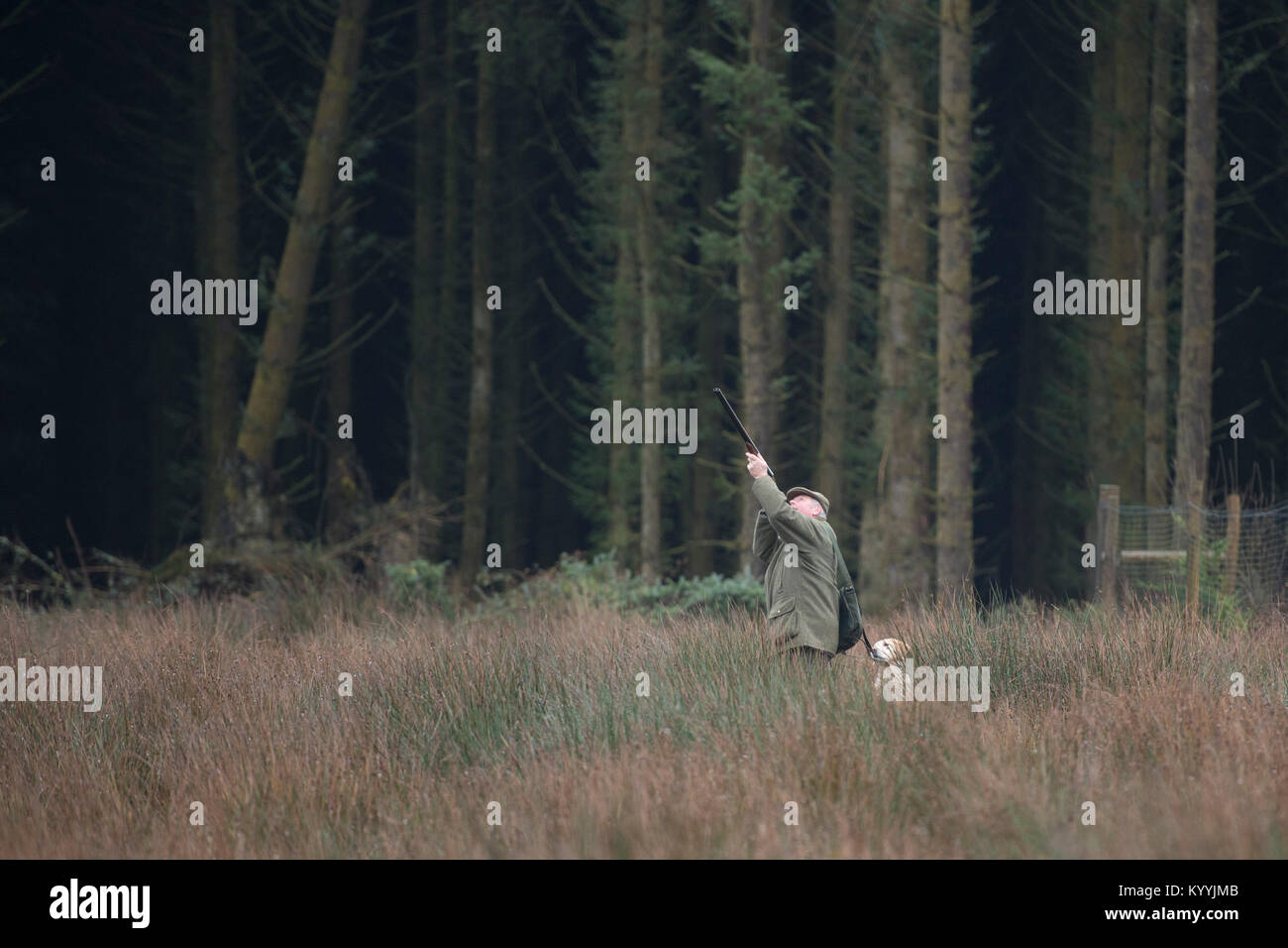 Mann schießen Vögel im Wald Stockfoto